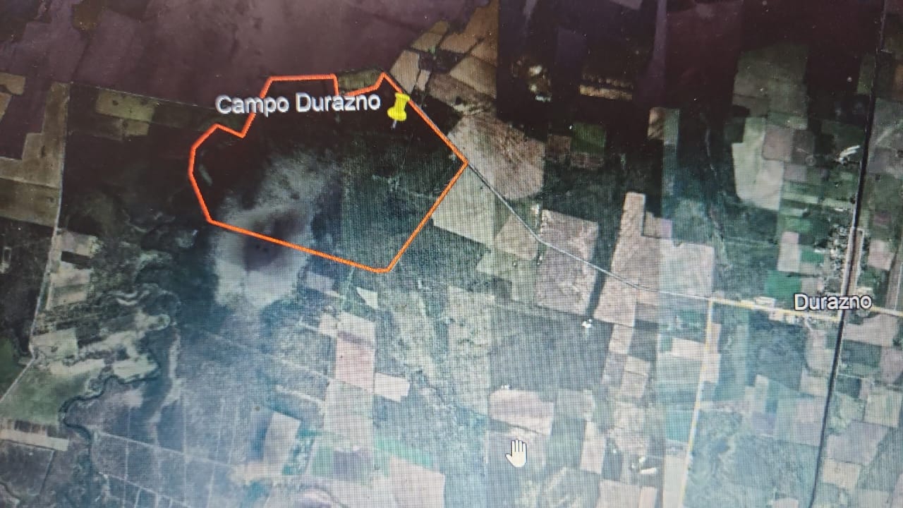 fe4487c3-0bb7-462e-a730-0c233eb16c53