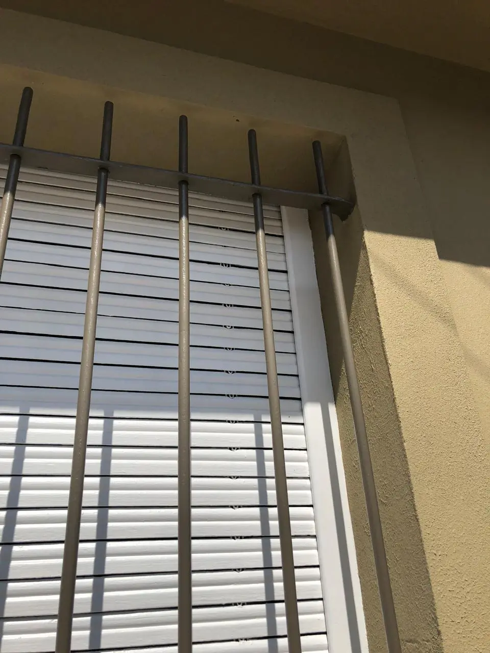 WhatsApp-Image-2025-02-25-at-12.47.54-1