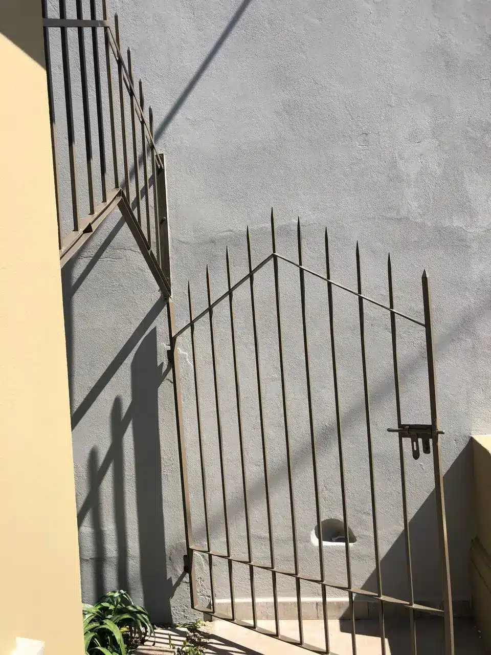 WhatsApp-Image-2025-02-25-at-12.47.55